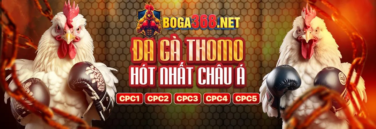 Đá Gà Trực Tuyến 66ff app